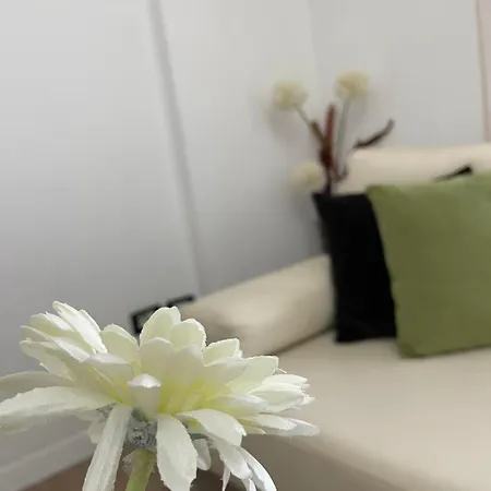 Cozy Center Appartamento *